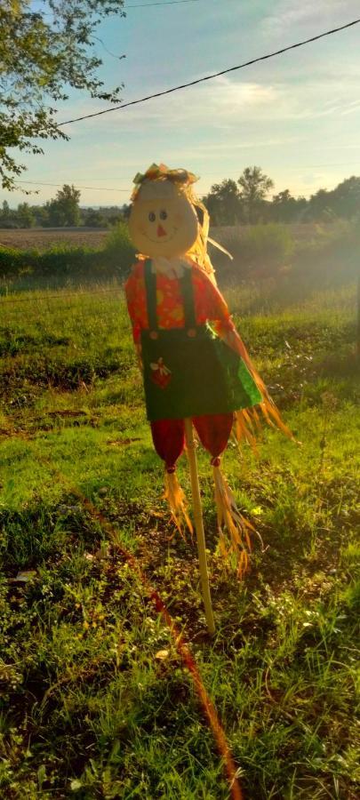 ホテル Domaine Des Favaud レクトゥール エクステリア 写真